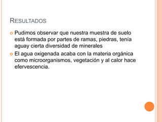 RESULTADOS
 Pudimos observar que nuestra muestra de suelo
está formada por partes de ramas, piedras, tenía
aguay cierta diversidad de minerales
 El agua oxigenada acaba con la materia orgánica
como microorganismos, vegetación y al calor hace
efervescencia.
 