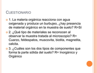 CUESTIONARIO
 1. La materia orgánica reacciona con agua
oxigenada y produce un burbujeo, ¿hay presencia
de material orgánico en la muestra de suelo? R=Sí
 2. ¿Qué tipo de materiales se reconocen al
observar la muestra tratada al microscopio? R=
Cuarzo, feldespatos, muscovita, biotita, magnetita,
calcita.
 3. ¿Cuáles son los dos tipos de componentes que
forma la parte sólida del suelo? R= Inorgánico y
Orgánico
 