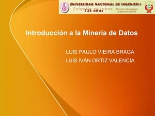 Introducción a laMinería de Datos LUIS PAULO VIEIRA BRAGA LUIS IVÁN ORTIZ VALENCIA 