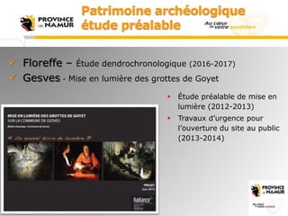 Patrimoine archéologique
étude préalable
 Floreffe – Étude dendrochronologique (2016-2017)
 Gesves - Mise en lumière des...