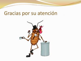 Gracias por su atención
 