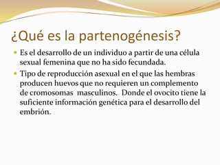 ¿Qué es la partenogénesis?
 Es el desarrollo de un individuo a partir de una célula
sexual femenina que no ha sido fecundada.
 Tipo de reproducción asexual en el que las hembras
producen huevos que no requieren un complemento
de cromosomas masculinos. Donde el ovocito tiene la
suficiente información genética para el desarrollo del
embrión.
 