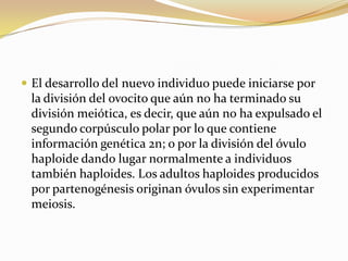 El desarrollo del nuevo individuo puede iniciarse por
la división del ovocito que aún no ha terminado su
división meiótica, es decir, que aún no ha expulsado el
segundo corpúsculo polar por lo que contiene
información genética 2n; o por la división del óvulo
haploide dando lugar normalmente a individuos
también haploides. Los adultos haploides producidos
por partenogénesis originan óvulos sin experimentar
meiosis.
 