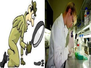 Primera parte de investigacion disciplinar 