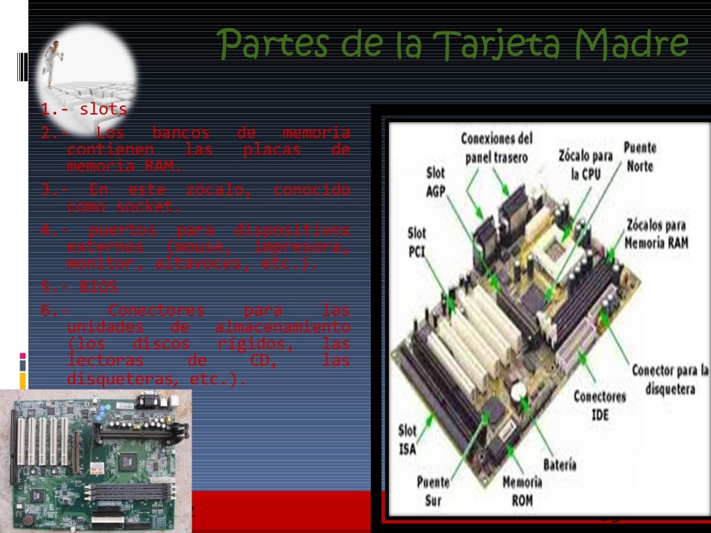 Partes