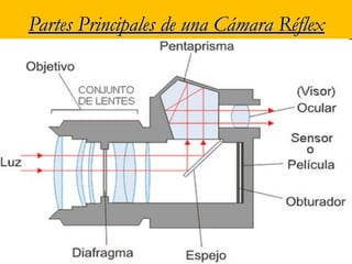 Partes principales de la Cámara