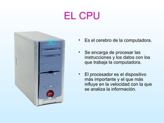 EL CPU Es el cerebro de la computadora. Se encarga de procesar las instrucciones y los datos con los que trabaja la computadora. El procesador es el dispositivo más importante y el que más influye en la velocidad con la que se analiza la información.