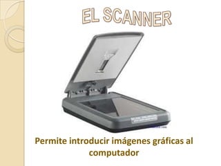 Permite introducir imágenes gráficas al
computador