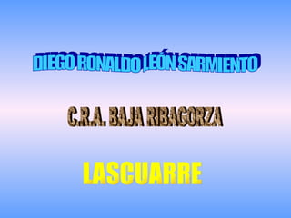 DIEGO RONALDO LEÓN SARMIENTO C.R.A. BAJA RIBAGORZA LASCUARRE 
