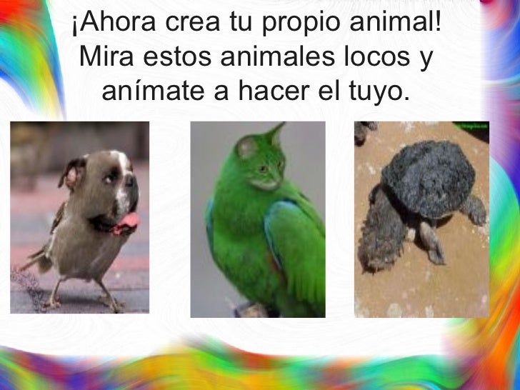 Partes Del Cuerpo Animal