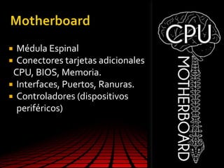  Médula Espinal
 Conectores tarjetas adicionales
CPU, BIOS, Memoria.
 Interfaces, Puertos, Ranuras.
 Controladores (dispositivos
periféricos)
 