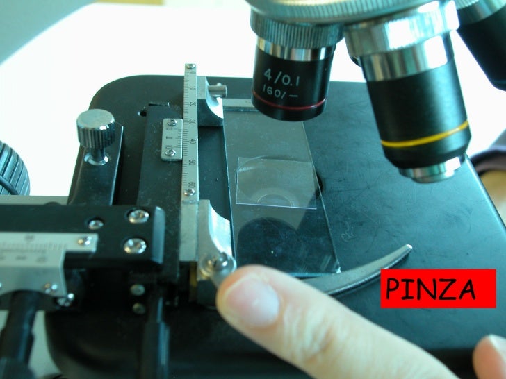 Partes Microscopio B Logia Bis