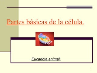 Partes básicas de la célula.



        Eucariota animal.

                               1
 