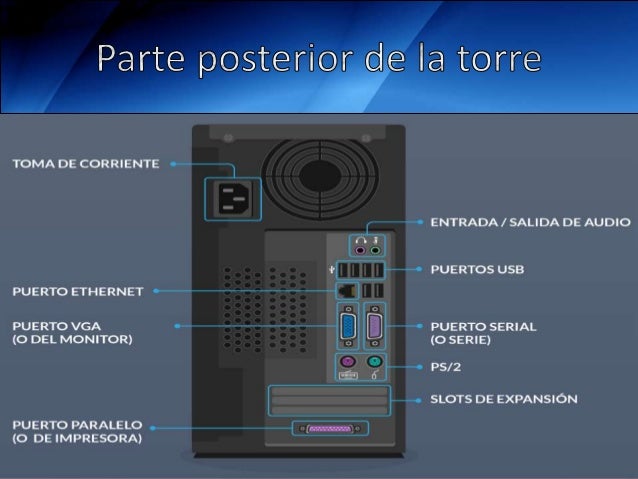 Partes básicas de la computadora(la torre o case)