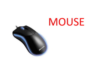 MOUSE