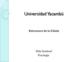 UniversidadYacambúUniversidadYacambú
Estructura de la Célula
Elida Sandoval
Psicología
 