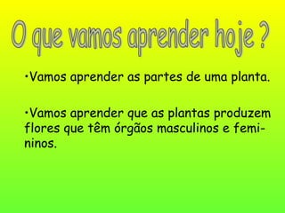 •Vamos aprender as partes de uma planta.

•Vamos aprender que as plantas produzem
flores que têm órgãos masculinos e femi-...