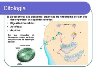 Citologia
 5) Lisossomos: são pequenas organelas do citoplasma celular que
    desempenham as seguintes funções:
  Digestão intracelular;
  Autofagia;
  Autólise.

 Em     que  situações    os
 lisossomos podem participar
 em processos de destruição
 celular?
 