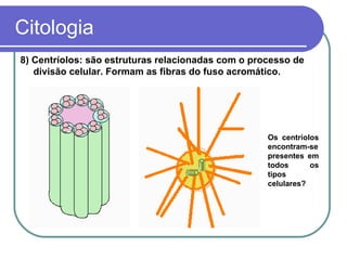 Citologia
8) Centríolos: são estruturas relacionadas com o processo de
   divisão celular. Formam as fibras do fuso acromático.




                                                    Os centríolos
                                                    encontram-se
                                                    presentes em
                                                    todos      os
                                                    tipos
                                                    celulares?
 
