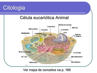 Citologia
      Célula eucariótica Animal




        Ver mapa de conceitos na p. 169
 