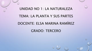 UNIDAD NO 1: LA NATURALEZA 
TEMA: LA PLANTA Y SUS PARTES 
DOCENTE: ELSA MARINA RAMÍREZ 
GRADO: TERCERO 
 