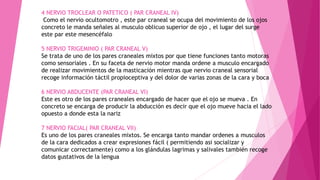 4 NERVIO TROCLEAR O PATETICO ( PAR CRANEAL IV)
Como el nervio ocultomotro , este par craneal se ocupa del movimiento de los ojos
concreto le manda señales al musculo oblicuo superior de ojo , el lugar del surge
este par este mesencéfalo
5 NERVIO TRIGEMINIO ( PAR CRANEAL V)
Se trata de uno de los pares craneales mixtos por que tiene funciones tanto motoras
como sensoriales . En su faceta de nervio motor manda ordene a musculo encargado
de realizar movimientos de la masticación mientras que nervio craneal sensorial
recoge información táctil propioceptiva y del dolor de varias zonas de la cara y boca
6 NERVIO ABDUCENTE (PAR CRANEAL VI)
Este es otro de los pares craneales encargado de hacer que el ojo se mueva . En
concreto se encarga de producir la abducción es decir que el ojo mueve hacia el lado
opuesto a donde esta la nariz
7 NERVIO FACIAL( PAR CRANEAL VII)
Es uno de los pares craneales mixtos. Se encarga tanto mandar ordenes a musculos
de la cara dedicados a crear expresiones fácil ( permitiendo asi socializar y
comunicar correctamente) como a los glándulas lagrimas y salivales también recoge
datos gustativos de la lengua
 