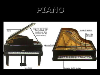PIANO
 