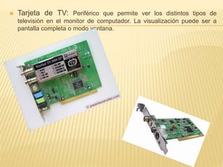  Tarjeta de TV: Periférico que permite ver los distintos tipos de 
televisión en el monitor de computador. La visualización puede ser a 
pantalla completa o modo ventana. 
 
