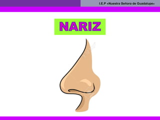 I.E.P «Nuestra Señora de GuadalupeI.E.P «Nuestra Señora de Guadalupe»
 