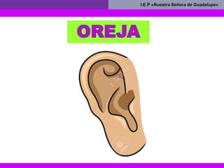 I.E.P «Nuestra Señora de Guadalupe»I.E.P «Nuestra Señora de Guadalupe»
 