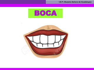 I.E.P «Nuestra Señora de Guadalupe»I.E.P «Nuestra Señora de Guadalupe»
 