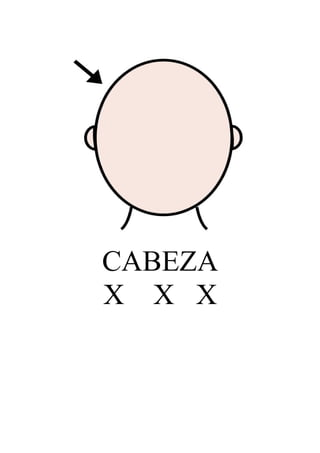 CABEZA
X X X
 
