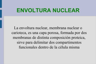 ENVOLTURA NUCLEAR
La envoltura nuclear, membrana nuclear o
carioteca, es una capa porosa, formada por dos
membranas de distinta composición proteica,
sirve para delimitar dos compartimentos
funcionales dentro de la célula misma

 