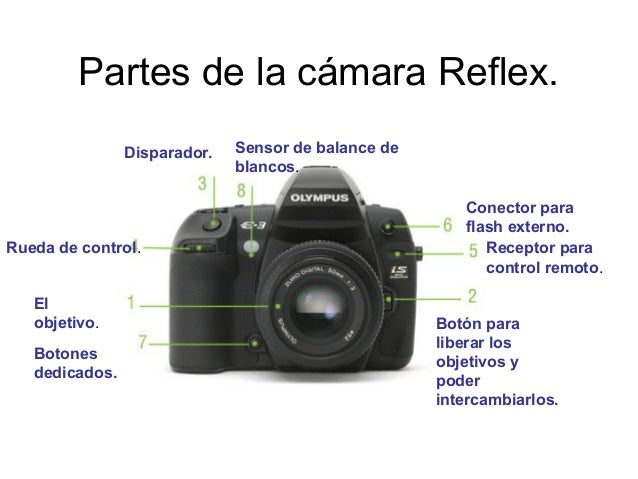 Resultado de imagen para camara reflex y sus partes