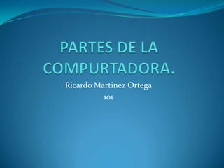 Ricardo Martinez Ortega
          101
 