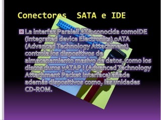 Partes de la computadora