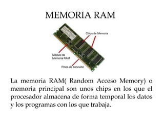 MEMORIA RAM 
La memoria RAM( Random Acceso Memory) o 
memoria principal son unos chips en los que el 
procesador almacena de forma temporal los datos 
y los programas con los que trabaja. 
 