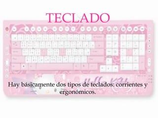 TECLADO 
Hay básicamente dos tipos de teclados: corrientes y ergonómicos.  