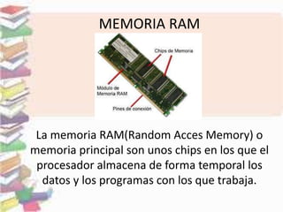 MEMORIA RAM 
La memoria RAM(Random Acces Memory) o 
memoria principal son unos chips en los que el 
procesador almacena de forma temporal los 
datos y los programas con los que trabaja. 
 