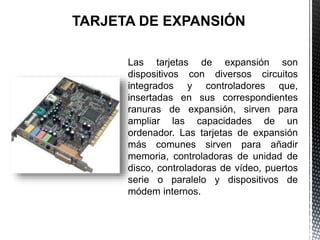 Partes Elementales de la computadora