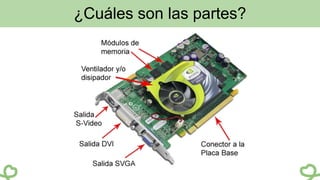 ¿Cuáles son las partes?
 