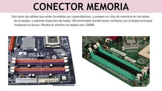 CONECTOR MEMORIA
Son tipos de celdas que están formadas por capacitadores, y poseen un chip de memoria en los lados
de la tarjeta, y además disponen de hasta 184 terminales donde hacen contacto con la tarjeta principal
mediante la ranura. Recibe el nombre de tarjeta ram, DIMM.
 