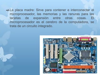 La placa madre: Sirve para contener e interconectar el 
microprocesador, las memorias y las ranuras para las 
tarjetas de expansión entre otras cosas. El 
microprocesador es el cerebro de la computadora, se 
trata de un circuito integrado. 
 