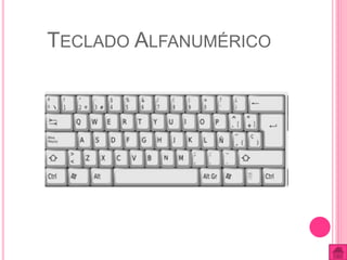 TECLADO ALFANUMÉRICO 
 