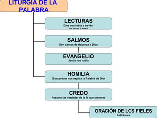 LITURGIA DE LA
PALABRA
LECTURAS
Dios nos habla a través
de estos Libros
SALMOS
Son cantos de alabanza a Dios
HOMILIA
El sacerdote nos explica la Palabra de Dios
CREDO
Resume las verdades de la fe que creemos
ORACIÓN DE LOS FIELES
Peticiones
EVANGELIO
Jesús nos habla
 