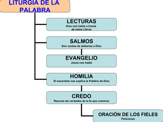 LITURGIA DE LA
PALABRA
LECTURAS
Dios nos habla a través
de estos Libros
SALMOS
Son cantos de alabanza a Dios
HOMILIA
El sacerdote nos explica la Palabra de Dios
CREDO
Resume las verdades de la fe que creemos
ORACIÓN DE LOS FIELES
Peticiones
EVANGELIO
Jesús nos habla
 