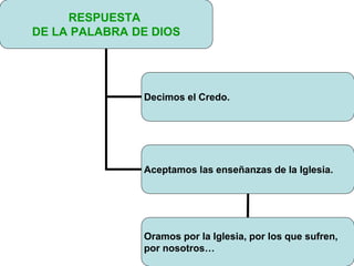 RESPUESTA
DE LA PALABRA DE DIOS
Decimos el Credo.
Aceptamos las enseñanzas de la Iglesia.
Oramos por la Iglesia, por los que sufren,
por nosotros…
 