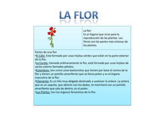 La flor
                                        Es el órgano que sirve para la
                                        reproducción de las plantas. Las
                                        flores son las partes más vistosas de
                                        las plantas.

Partes de una flor
•El Cáliz: Está formado por unas hojitas verdes que están en la parte exterior
de la flor.
•La Corola: Llamada ordinariamente la flor, está formada por unas hojitas de
varios colores llamados pétalos.
•Estambres: Son como unos bastoncitos que tienen por base el centro de la
flor y tienen un polvillo amarillento que se llama polen y es el órgano
masculino de la flor.
•Filamento: Es un hilo muy delgado destinado a sostener la antera. La antera
que es un saquito, que abierto con los dedos, te manchará con un polvillo
amarillento que sale de dentro, es el polen.
•Los Pistilos: Son los órganos femeninos de la flor.
 