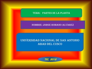 TEMA: PARTES DE LA PLANTA



      NOMBRE: JORGE ROMANO ALVAREZ




UNIVERSIDAD NACIONAL DE SAN ANTONIO
          ABAD DEL CUSCO



              TIC. 2012
 
