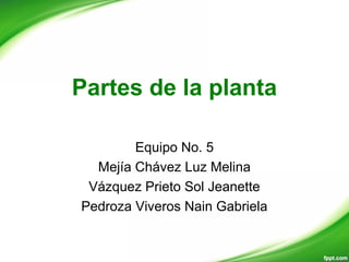 Partes de la planta
Equipo No. 5
Mejía Chávez Luz Melina
Vázquez Prieto Sol Jeanette
Pedroza Viveros Nain Gabriela
 